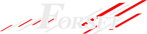 logo lys